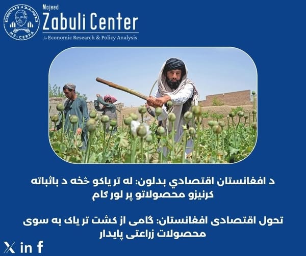 تحول اقتصادی افغانستان؛ گامی از کشت تریاک به سوی محصولات زراعتی پایدار
