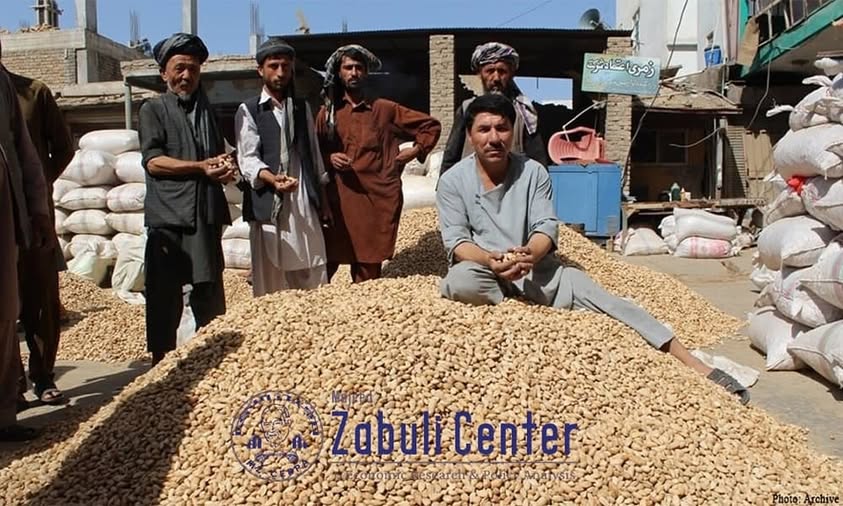 Economic Growth in Afghanistan: Rise in Almond Production