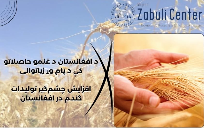 Significant Increase in Wheat Production in Afghanistan and Stockpiling for Winter