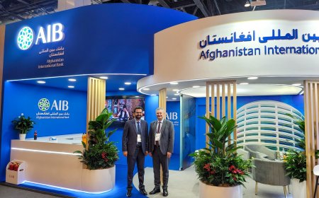 What is the Attention Economy and What Are the Hidden Impacts of the Digital World on Humans?