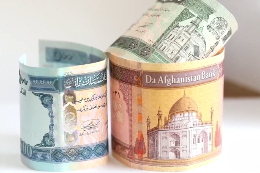 May 2026 Week 1 Newsletter