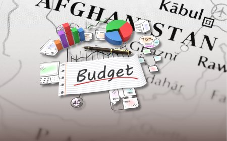 The Budget Execution Scourge and our National Priorities