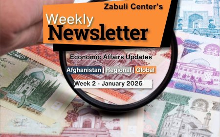 Zabuli Weekly Newsletter Week 2, January 2026 ٍ