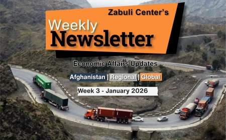 Zabuli Weekly Newsletter Week 3, January 2026 ٍ