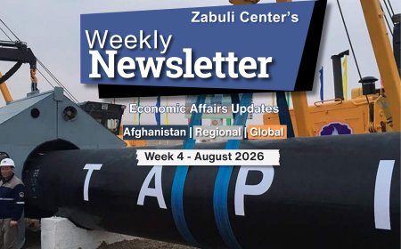 Zabuli Weekly Newsletter Week 4, August 2026 ٍ