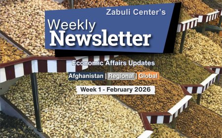Zabuli Weekly Newsletter Week 1, February 2026