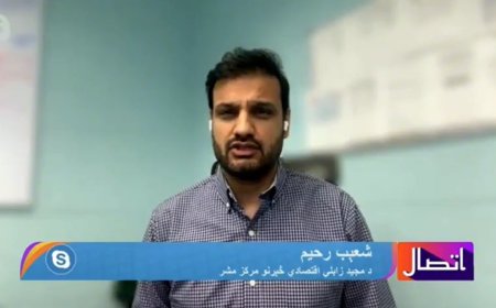 Afghani Exchange Rate Fluctuations Against the Dollar | Insights from Majeed Zabuli Center