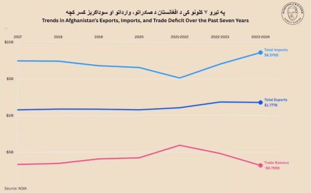 Afghanistan’s Trade Story (2017–2024 | Exports vs Imports | Line Graph Race