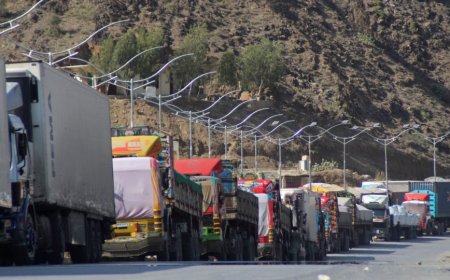 د افغانستان صنعتي بدلون: له وارداتي بدیل څخه تر رقابتي ارزښت‌افزونې پورې