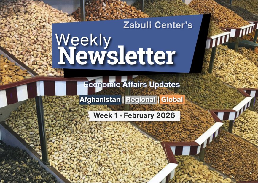 Zabuli Weekly Newsletter Week 1, February 2026